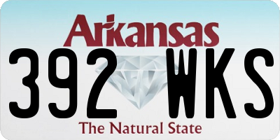 AR license plate 392WKS