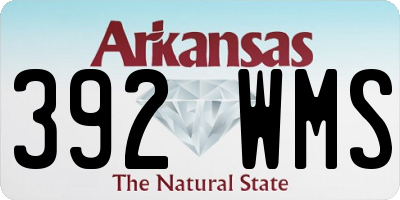 AR license plate 392WMS