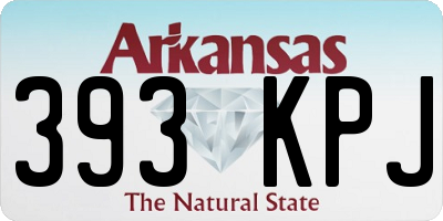 AR license plate 393KPJ