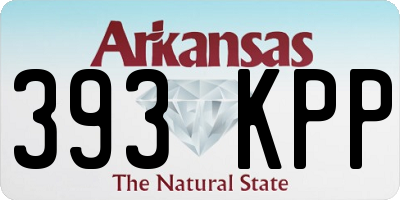 AR license plate 393KPP