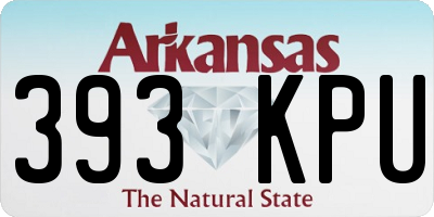 AR license plate 393KPU