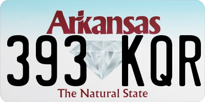 AR license plate 393KQR