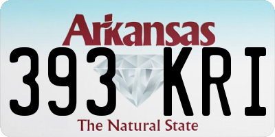 AR license plate 393KRI