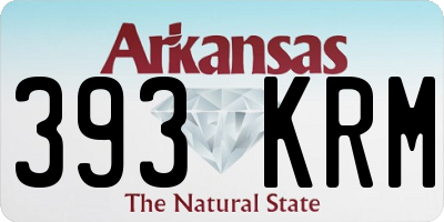 AR license plate 393KRM