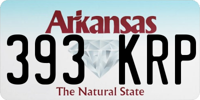 AR license plate 393KRP