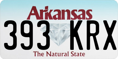 AR license plate 393KRX