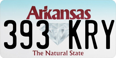 AR license plate 393KRY