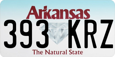 AR license plate 393KRZ