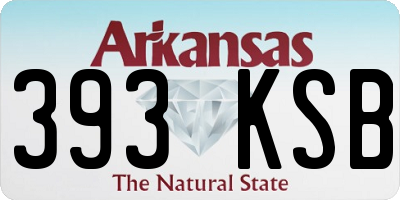 AR license plate 393KSB