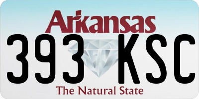 AR license plate 393KSC