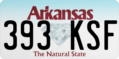 AR license plate 393KSF