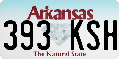 AR license plate 393KSH