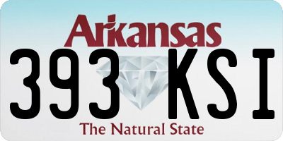 AR license plate 393KSI