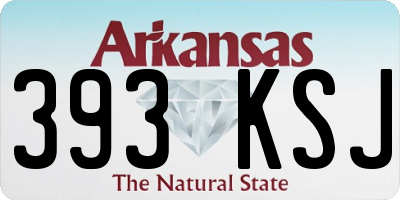 AR license plate 393KSJ