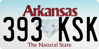 AR license plate 393KSK