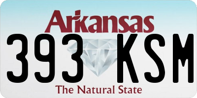 AR license plate 393KSM