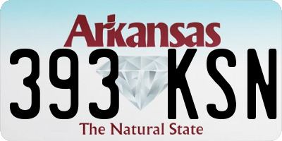 AR license plate 393KSN