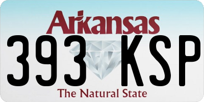 AR license plate 393KSP