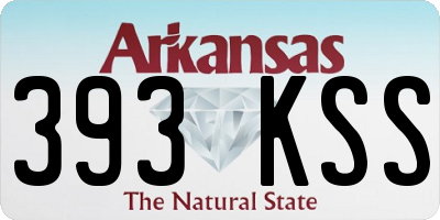 AR license plate 393KSS