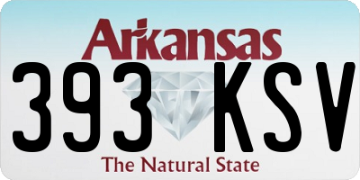 AR license plate 393KSV