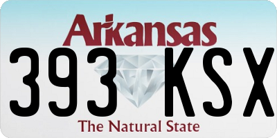 AR license plate 393KSX