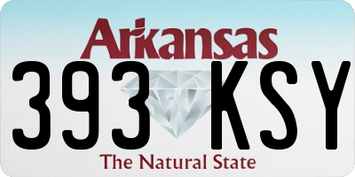AR license plate 393KSY