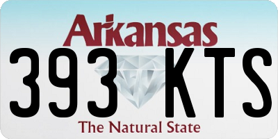AR license plate 393KTS