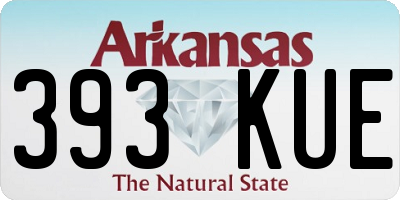 AR license plate 393KUE