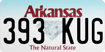AR license plate 393KUG