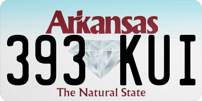 AR license plate 393KUI