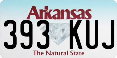 AR license plate 393KUJ