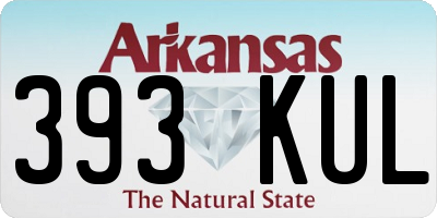 AR license plate 393KUL