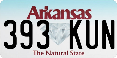 AR license plate 393KUN