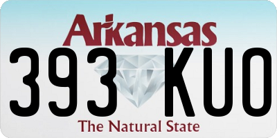 AR license plate 393KUO
