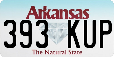 AR license plate 393KUP
