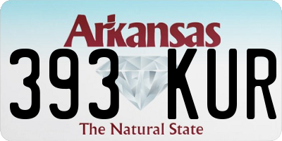 AR license plate 393KUR