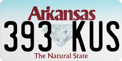 AR license plate 393KUS