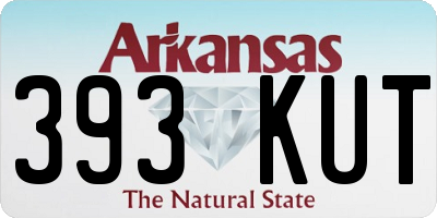 AR license plate 393KUT
