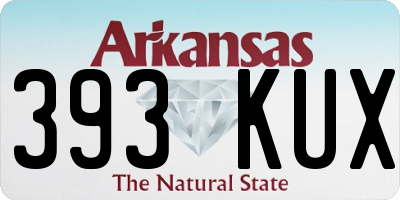 AR license plate 393KUX