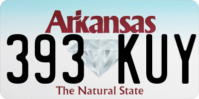 AR license plate 393KUY