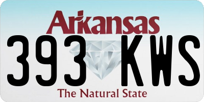 AR license plate 393KWS