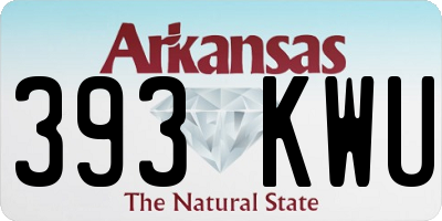 AR license plate 393KWU