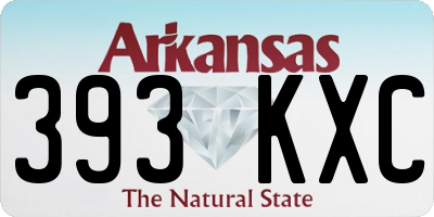 AR license plate 393KXC