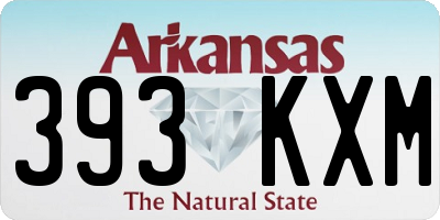 AR license plate 393KXM