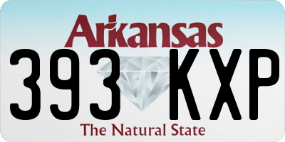 AR license plate 393KXP
