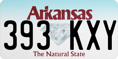 AR license plate 393KXY