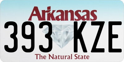 AR license plate 393KZE