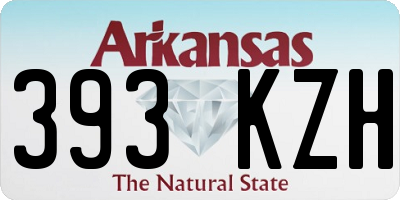 AR license plate 393KZH