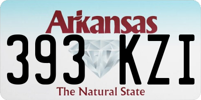 AR license plate 393KZI
