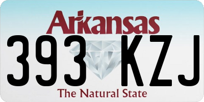 AR license plate 393KZJ